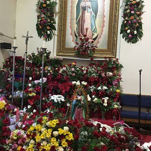 Meet your Posher, Liliana